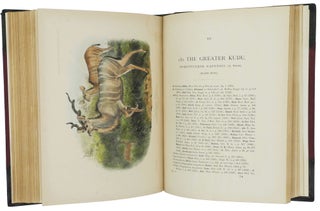 THE BOOK OF ANTELOPES