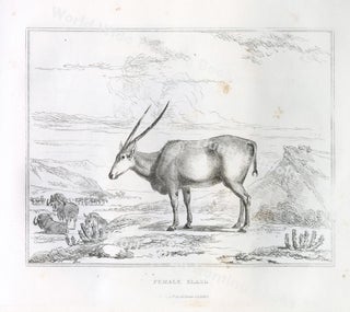 SKETCHES; Representing The Native Tribes, Animals, And Scenery Of Southern Africa from drawings made by the late Mr. Samuel Daniell, engraved by William Daniell.