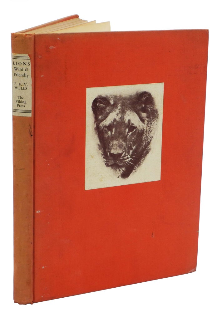 Item #005520 LIONS WILD AND FRIENDLY; Presenting the King of Beasts as a Companion and an Interesting Subject for Photography in His Natural Habitat. The Anecdotes of One Who has Reared Lions as a Hobby. Wells E. F. V.