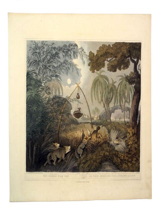 Item #006390 ORIENTAL FIELD SPORTS; The Common Wolf. Williamson T