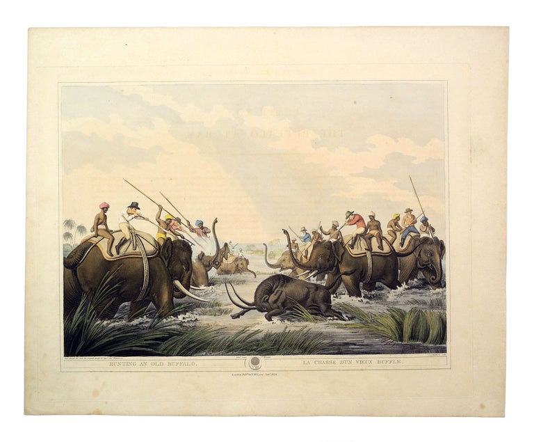 Item #006393 ORIENTAL FIELD SPORTS; Hunting an Old Buffalo. Williamson T.