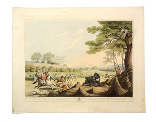 Item #006394 ORIENTAL FIELD SPORTS; Driving a Bear out of Sugar Canes. Williamson T