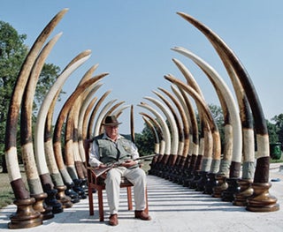 KOTA GOMBE; The Story of Marc Pechenart, Wilderness Explorer and Big-Game Hunter.