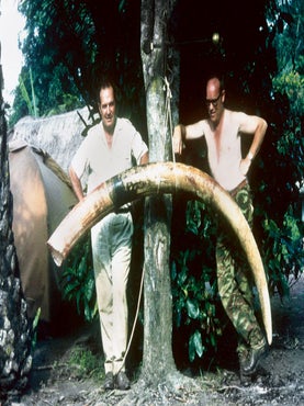 KOTA GOMBE; The Story of Marc Pechenart, Wilderness Explorer and Big-Game Hunter.