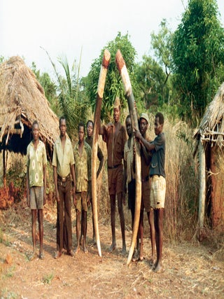 KOTA GOMBE; The Story of Marc Pechenart, Wilderness Explorer and Big-Game Hunter.