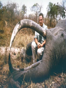 KOTA GOMBE; The Story of Marc Pechenart, Wilderness Explorer and Big-Game Hunter.
