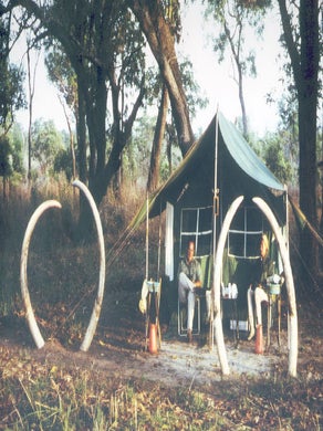 KOTA GOMBE; The Story of Marc Pechenart, Wilderness Explorer and Big-Game Hunter.